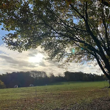 Idyllische Familien-oase