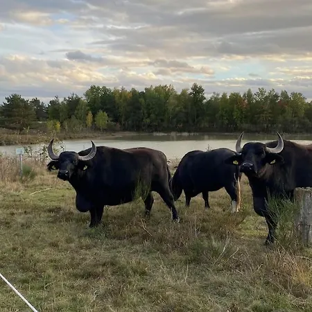 Idyllische Familien-oase * Troisdorf