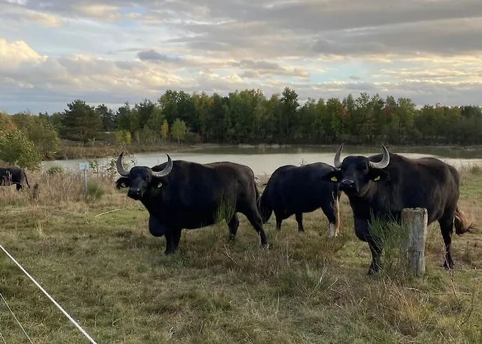 Idyllische Familien-oase * Τρόισντορφ