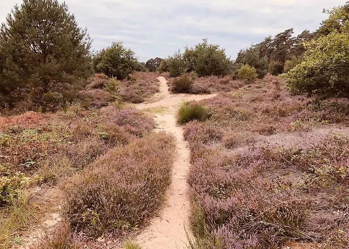 Idyllische Familien-oase Σπίτι διακοπών